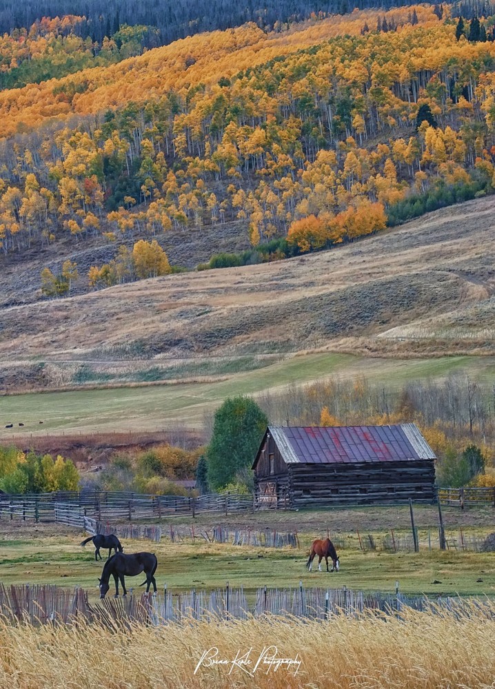 Autumn Forest Horse Barn-Landscape Photograph Nature Rural Wall Art Framed Print
