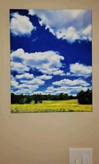 Canvas Photo Clouds Over A Golden Field Haw River, NC 16×20 Ltd Ed Signed
