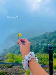 Photo Digital Product Wallpaper beautiful Yellow Flowers With Natural Background