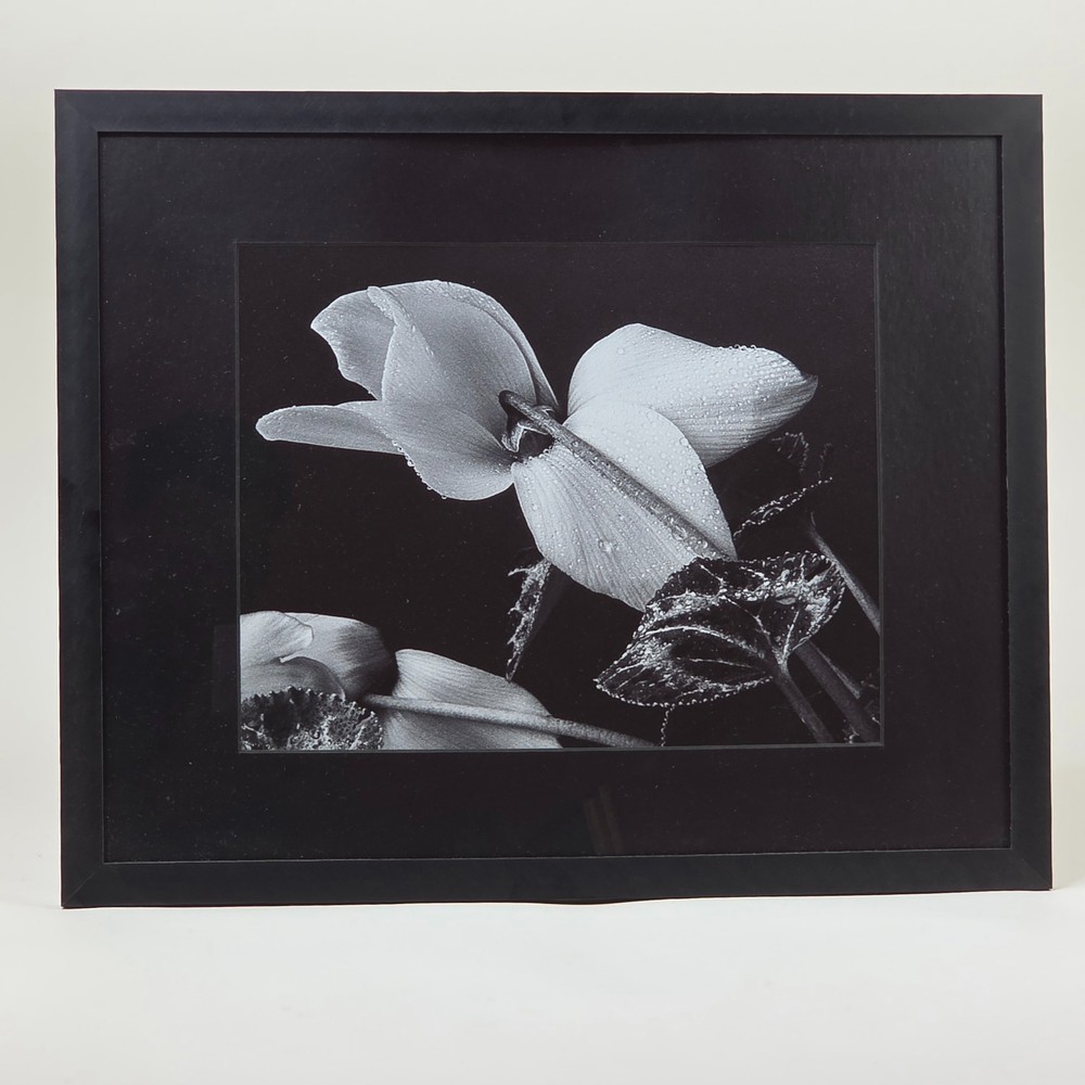 Steven Michael Bogdonas | That’s a fine how do you dew, 2002, Original Print