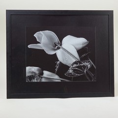 Steven Michael Bogdonas | That’s a fine how do you dew, 2002, Original Print