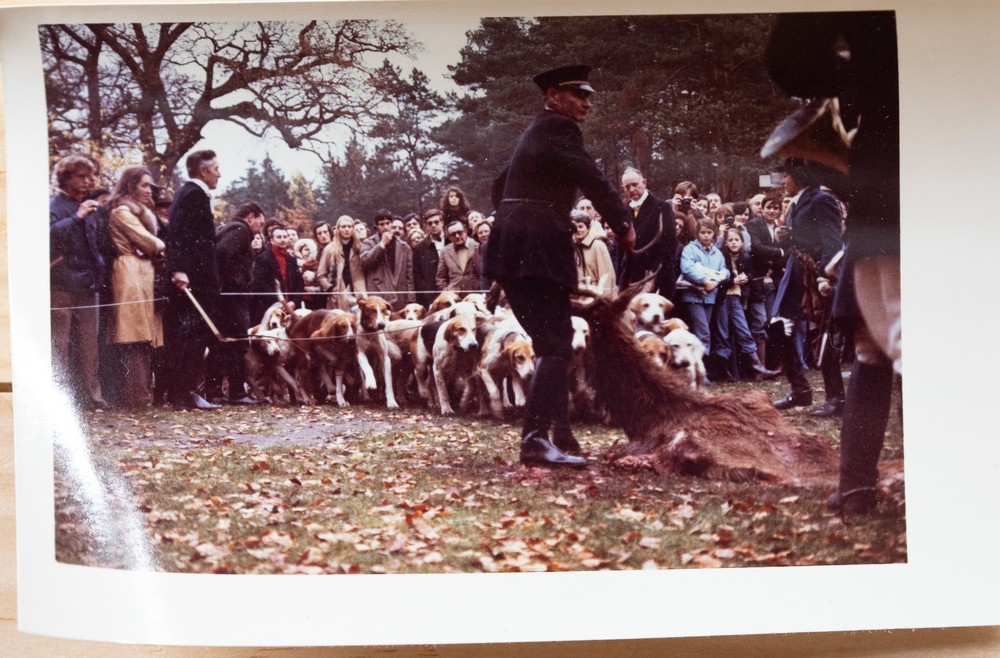 Vintage Photo France Hunting Dog 7X10Cm 1970