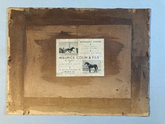 Original Horse Riding Course Photo 1949 Horse Barran Photo