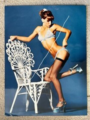 40x30cm Vintage Colour Fashion Photo 1974 Photo Model Silvie Switzerland Brief + Bra Underwear