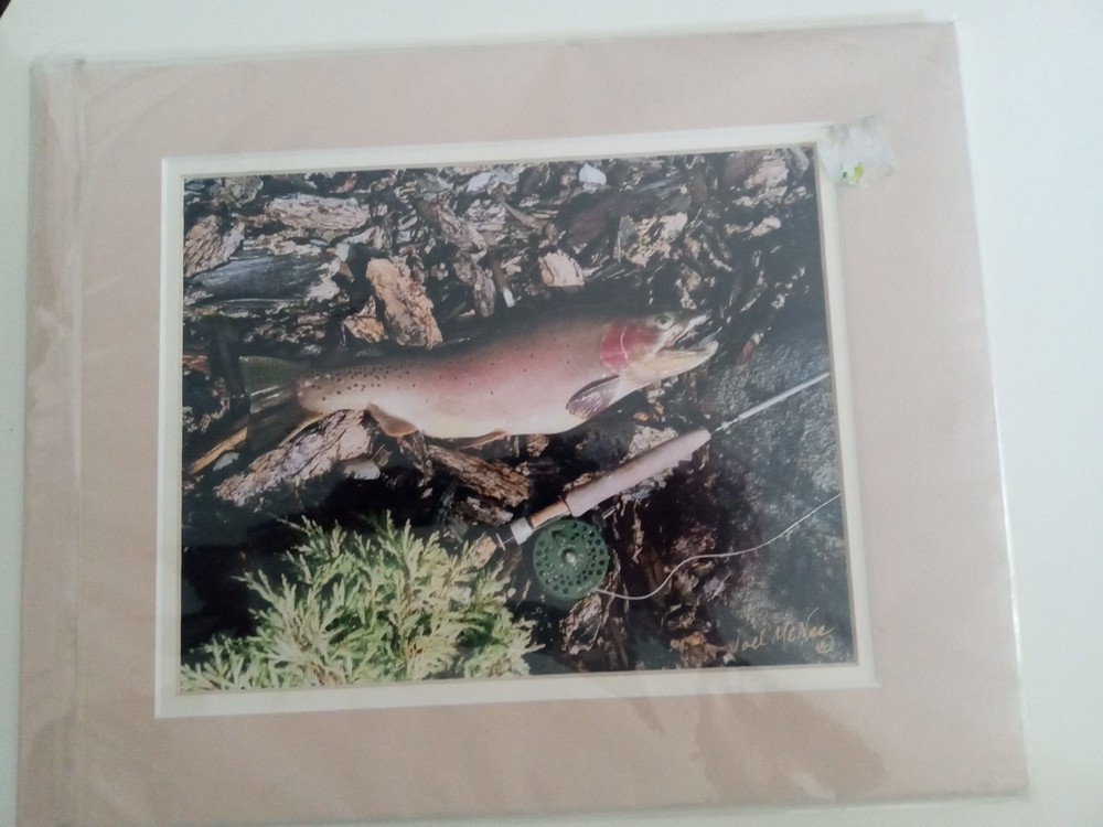 Joel McNee, Hayden ID,Fly Fishing, Cutthroat Trout, Authentic Photo Art.
