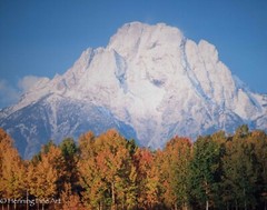 Stunning David Brookover Limited Edition Photograph Landscape Grand Teton, FINE!