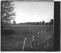 Countryside Landscape Glass Photo Stereo Plate, Black & White Positive 6×13 cm