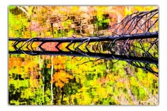 Nature Reflected in Water – Abstract Fine Art Nature Photography by Bear8Photo