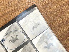 NEWLY FOUND! Hendrickson PHOTO Contact Sheet Proof & Negatives COWBOY ON HORSE