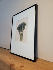 Michael Craven Fine Photography «Broccula» 1994 Signed Framed 70/300 Print 1998
