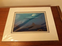 Great White Sharks, signed/matted 8×10 photograph by Mark J. Thomas