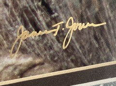 Millcreek Wildlife Reflections Signed James T Jones Photograph Buck Deer Antlers