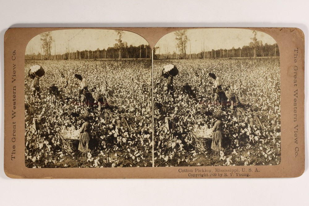 USA Mississippi Cotton Harvest 1899 Vintage Stereo Photo Analog