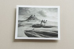 Signed ORIGINAL Animal Art Folio of Hippos Elephants Giraffe Camel & Fish Prints