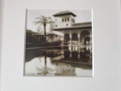 Old photo, Ville with palm tree, in aluminium frame silver matte 30×30 cm 16×16 cm