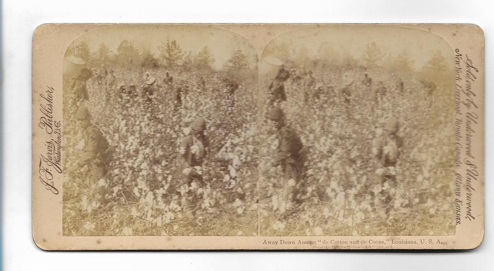 S5013/ Stereo Photo Black People Cotton Harvest Louisiana USA Photo 1892 J.F.Jarvis