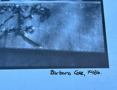 BARBARA COLE HAND SIGNED ORIGINAL 1986 PHOTOGRAPH WOMAN & CHILD WITH HAIRBRUSH