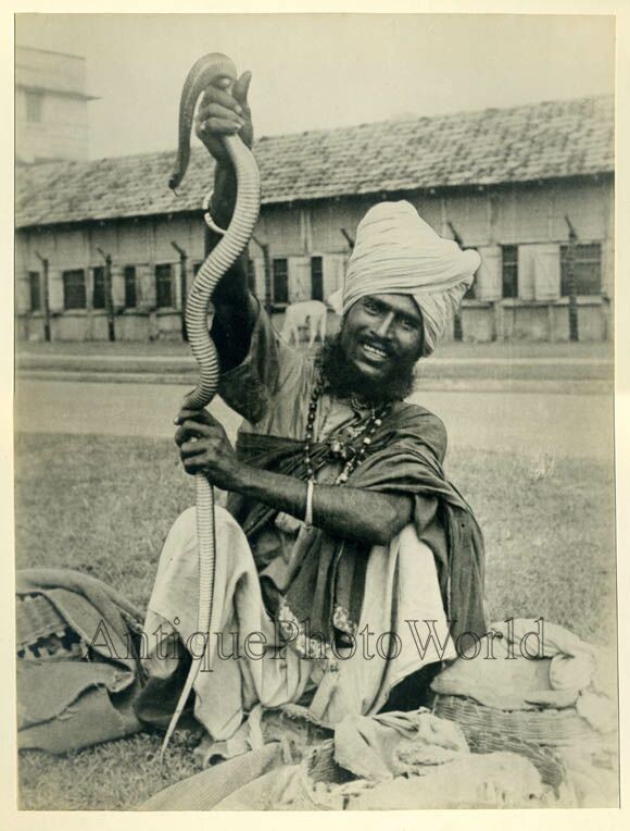 Indian man snake charmer antique photo