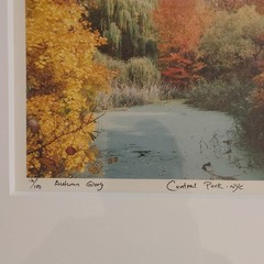 Michael Chen Signed Limited Edition Photo Set of 3 Matted & Framed Central Park