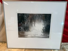 DAVID H GIBSON Photography Signed NOVEMBER MORNING CYPRESS CREEK + Message 1992