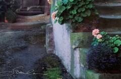 Scanlan Photo Matted Framed «Steps in Time» in Alsace, France