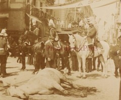 Spain Madrid Horse Injured After An Explosion Photo Stereo Vintage
