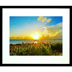 KEY WEST Sunset Flowers 11×14 Matted Art Photo Photograph Paradise Tropical Boat