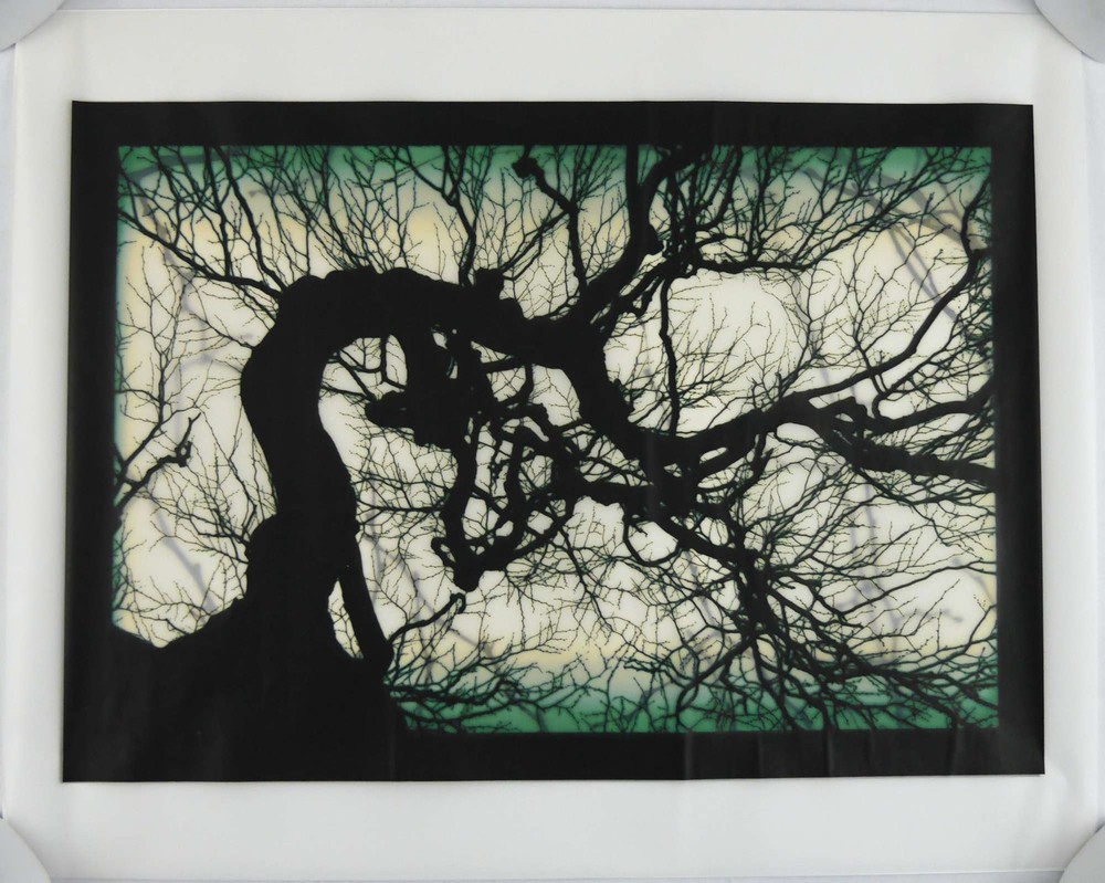 Mike Starn / Structure of Thought 30 16 x 20 LIMITED EDITION ARCHIVAL Signed 1st