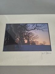 Photography Print By John T Slonina Matted 8×10 Winter Sunrise Through The Trees