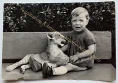 orig. Photo postcard zoo zoo animals tiger around 1968 child