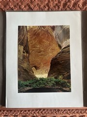Vintage Eliot Porter Portraits Of Nature Portfolio