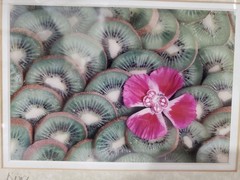 Kiwi Fruit Pink Flower Matted Framed Photograph Wall Decor White Frame 8×10
