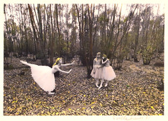 SERGIO VALLE DUARTE, «Arabesque», Signed Digital Print, Brazilian Photographer
