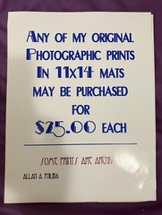 Award Winning Travel Photog 11”x17” Matted Photo Poppy Flower Wall Art