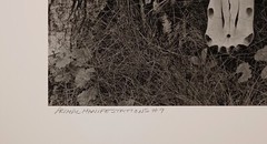 Large Format Black & White Photo Primal Manifestation #9 by Charles Fendrock