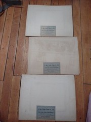 New Orleans Tinted Colored Photographs 1900s – Marx Art Store Detroit Photo Deco