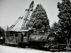OAHU SUGAR CO HAWAII Engine #5 Locomotive Station Photograph Vtg 50s Railway