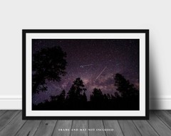 Night Sky Photography Print – Picture of Starry Sky Above Trees in Colorado