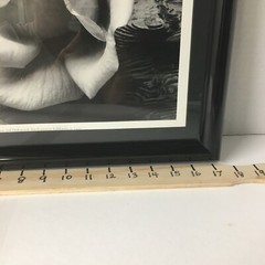 ANSEL ADAMS Art Photo ROSE and DRIFTWOOD 1932 Still Life 17×14 Inches