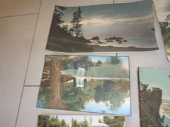 Vintage Hand Colorized PHOTO Tinted COLOR Landscapes Lot of 8