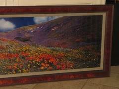 Thomas Mangelsen «Tapis Magique» Original Photograph 22″x68″ 736/2500 Flowers