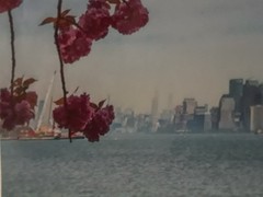 Metal Print Professional Photograph on Metal «New York Across the Bay» 16″ by 20