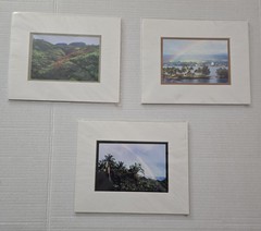 Lot of Hawaii Matted Photo Prints – Big Island Landscapes & Puna-tic Productions