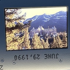 Lot Of 40 Vintage California Redwoods Ski Vacation Amateur 35mm Color Slides