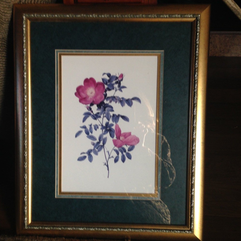 Picture of a rose
