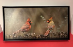 Northern Cardinals 2 Birds ~ Photo on Canvas by Tim DePuydth Photography