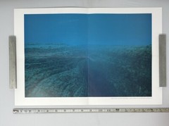 Noguchi Rika (b. 1971) Art Announcement Card / Fold Out Poster Print 2005