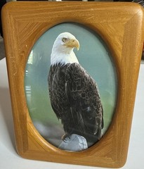 Wood Picture Frame 8×6 -Oval Opening- Bald Eagle Photo Rustic Decor