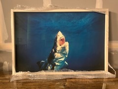 Michael Muller Original Art Photograph Museum Quality Framing and Glass