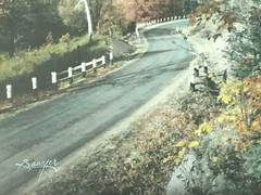 Large Charles Sawyer Autumn Glory Hand Colored Photo Nutting Peer 22″ x 18 1/2″